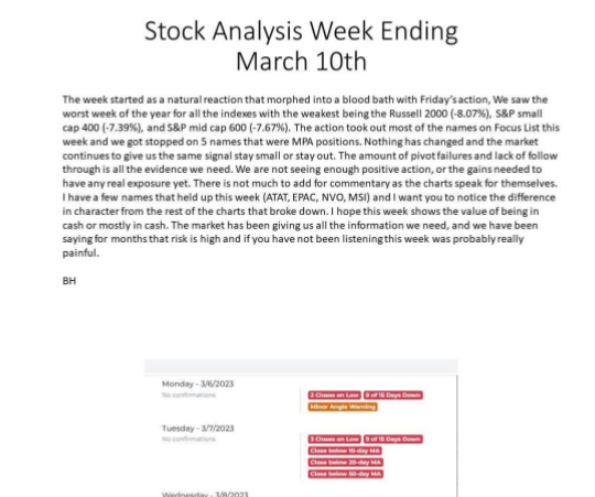 PDF~Stock Analysis 1- Minervini Private Access 2023 3月