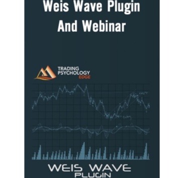 David Weis : Weis Wave Webinar