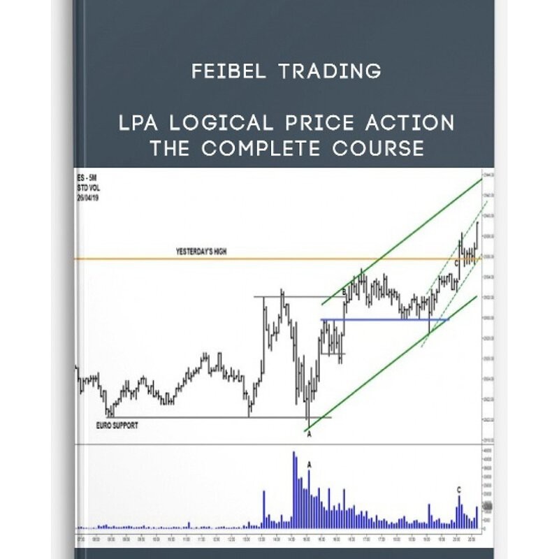 [Video Course] Logical Price Action by Feibel Trading-TheTrendFollowing