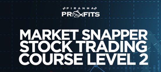 Piranha Profits – Stock Trading Course Level 2 Market Snapper