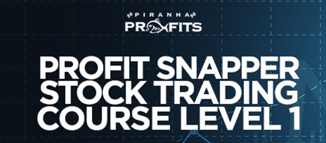 Piranha Profits – Stock Trading Course Level 1 Profit Snapper