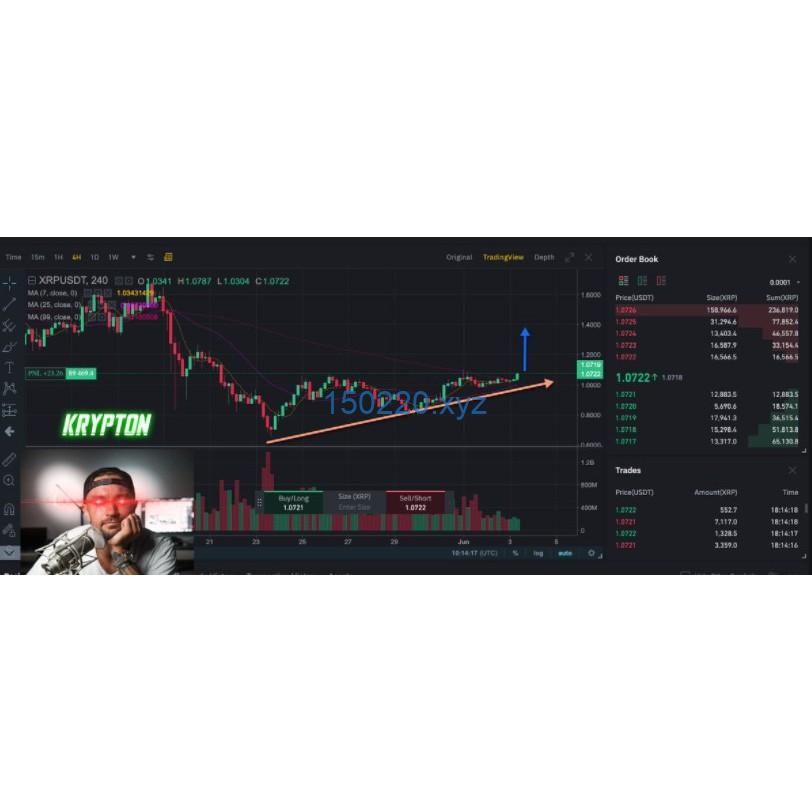 Cameron Fous – The Krypton Crypto System-TheTrendFollowing