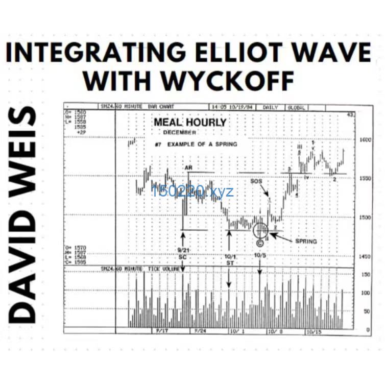 David Weis – Integrating Elliot Wave with Wyckoff ( MP3s & PDF)-TheTrendFollowing