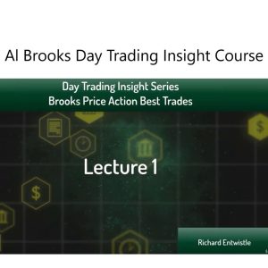 Al Brooks Day Trading Insights Course 中英字幕机翻-TheTrendFollowing