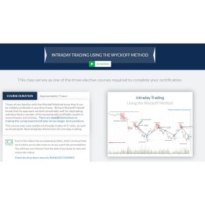 Wyckoffanalytics Intraday Trading Using the Wyckoff Method-TheTrendFollowing